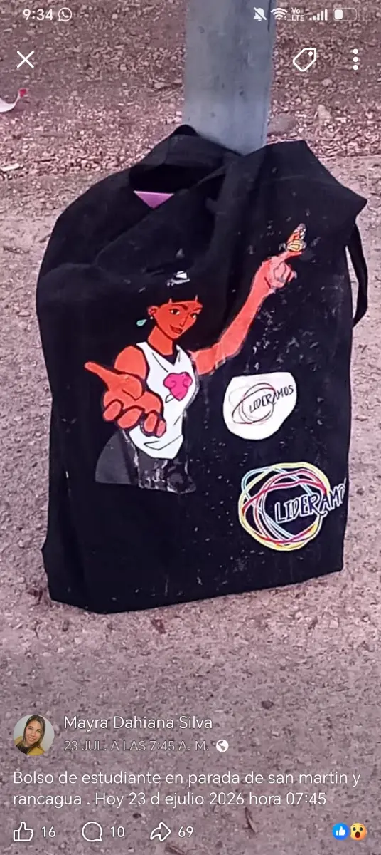 Bolso estudiante