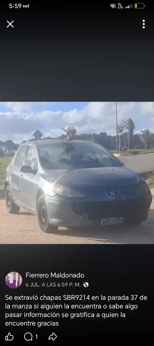 Chapas de auto
