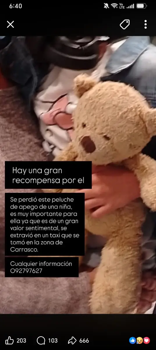 Peluche