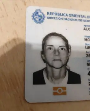 Documento llanet